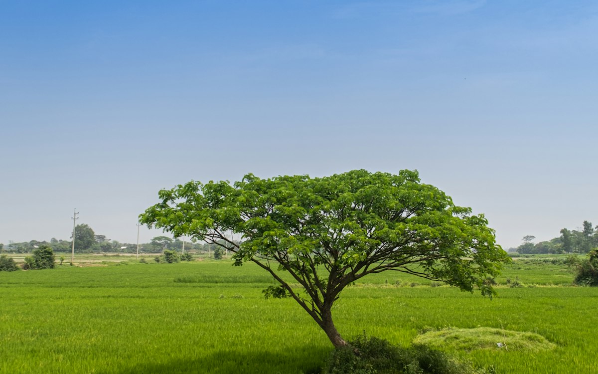 কুড়িগ্রামে নদীভাঙনে বিলীন শতাধিক ঘর